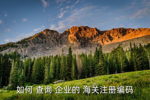 如何 查询 企业的 海关注册编码