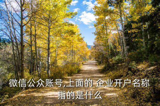 微信公众账号,上面的 企业开户名称指的是什么