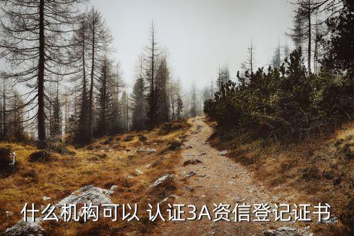 什么机构可以 认证3A资信登记证书