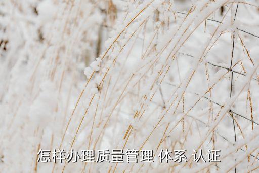 怎样办理质量管理 体系 认证