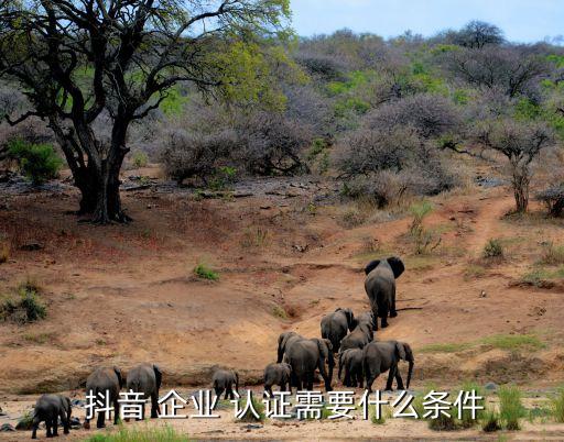 抖音企业号法人认证