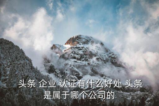  头条 企业 认证有什么好处 头条是属于哪个公司的