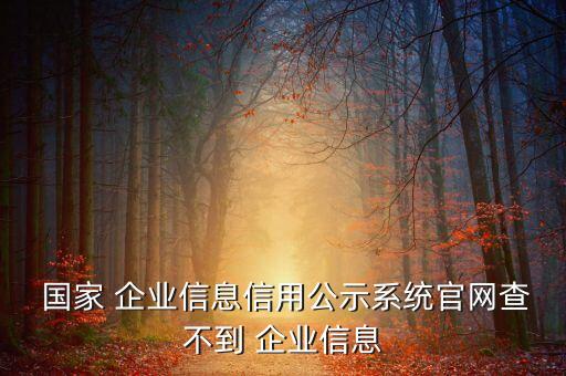  国家 企业信息信用公示系统官网查不到 企业信息