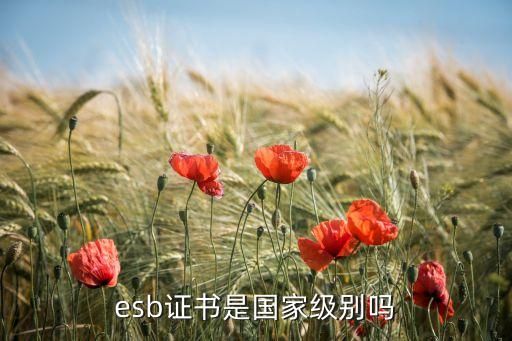 esb证书是国家级别吗