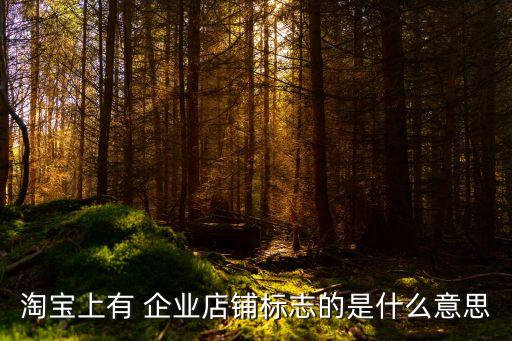 商城的企业认证是啥意思,华为商城企业购怎么认证