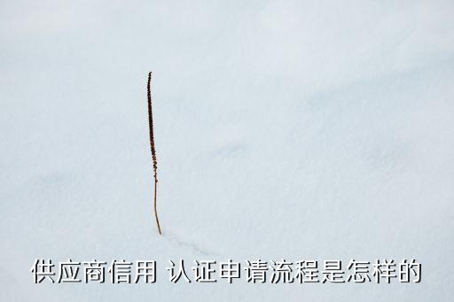供应商信用 认证申请流程是怎样的