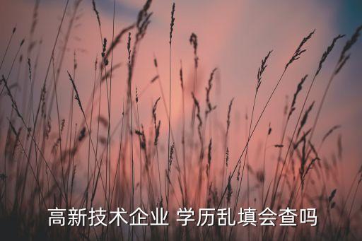  高新技术企业 学历乱填会查吗