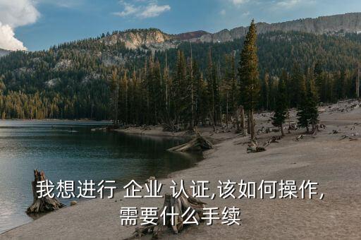 我想进行 企业 认证,该如何操作,需要什么手续