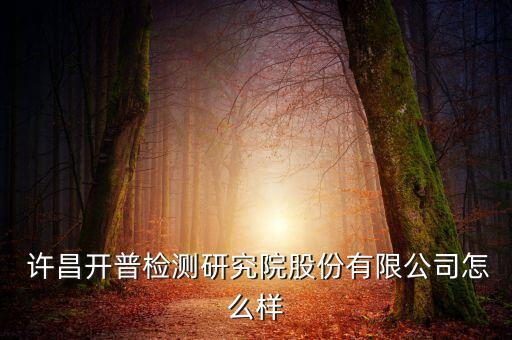  许昌开普检测研究院股份有限公司怎么样