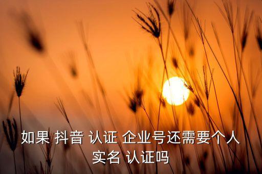 没有企业抖音怎么认证,企业抖音号怎么显示位置
