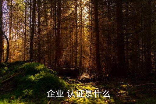  企业 认证是什么