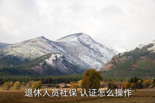  退休人员社保 认证怎么操作