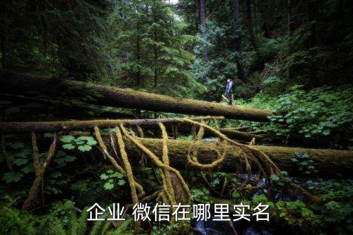  企业 微信在哪里实名