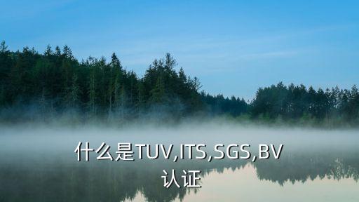 tuv认证企业