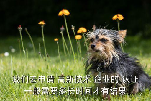 我们去申请 高新技术 企业的 认证一般需要多长时间才有结果