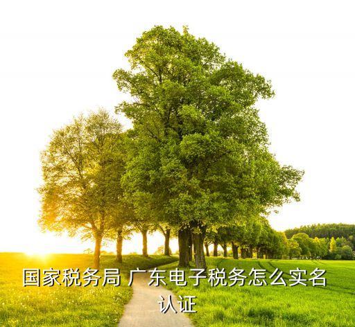 国家税务局 广东电子税务怎么实名 认证