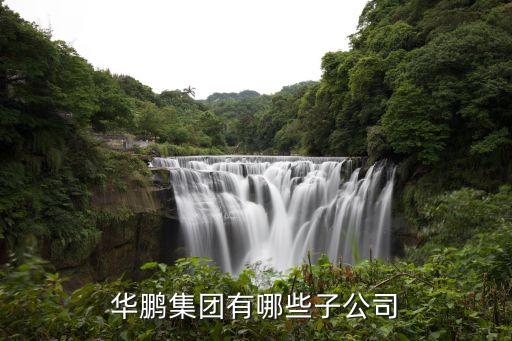 华鹏集团有哪些子公司