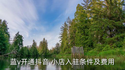 蓝v开通抖音 小店入驻条件及费用