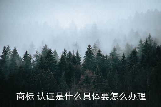商标认证企业号吗,已经认证的企业号怎么关闭