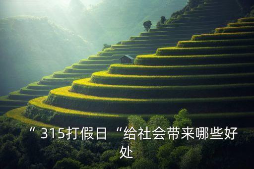 “ 315打假日“给社会带来哪些好处