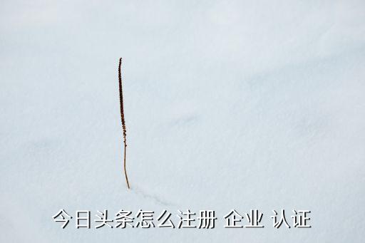 今日头条怎么注册 企业 认证