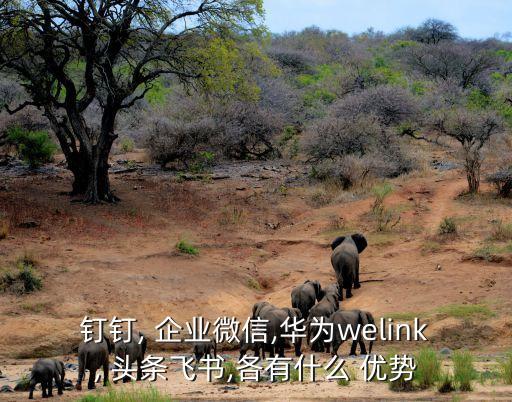 钉钉, 企业微信,华为welink, 头条飞书,各有什么 优势