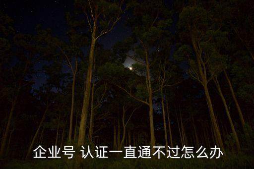  企业号 认证一直通不过怎么办