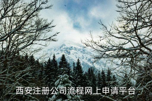 西安注册公司流程网上申请平台