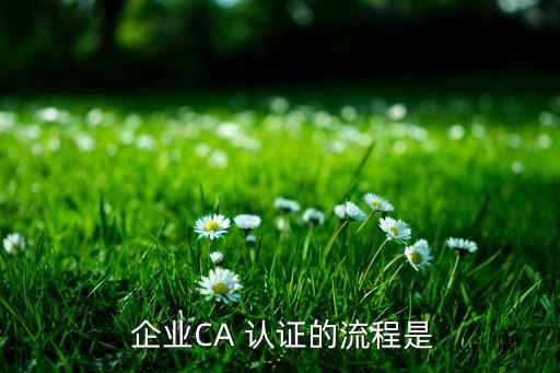  企业CA 认证的流程是