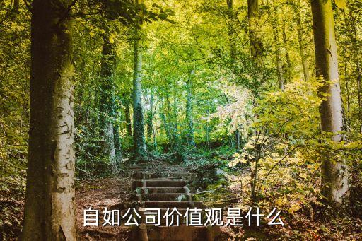 自如公司价值观是什么