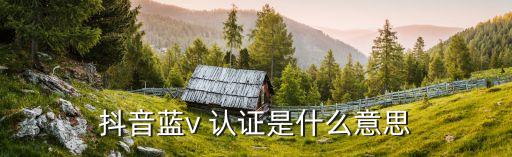 抖音蓝v 认证是什么意思