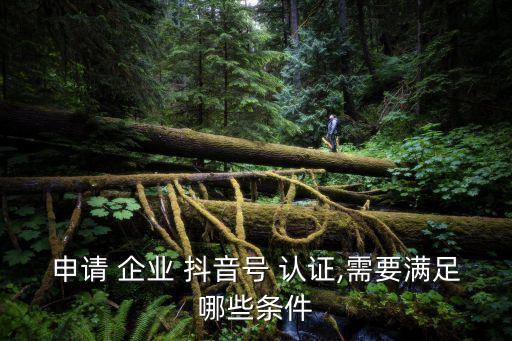 申请 企业 抖音号 认证,需要满足哪些条件