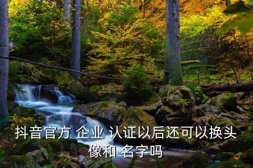 抖音官方 企业 认证以后还可以换头像和 名字吗