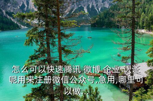 怎么可以快速腾讯 微博 企业 认证呢用来注册微信公众号,急用,哪里可以做...