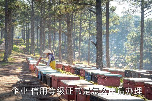 慈溪ccc企业信用认证