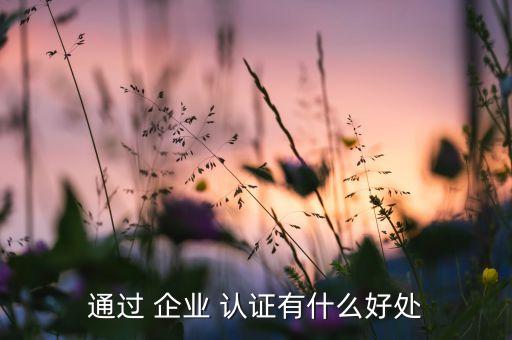财经认证和企业认证的区别,企业3a认证与5a认证区别