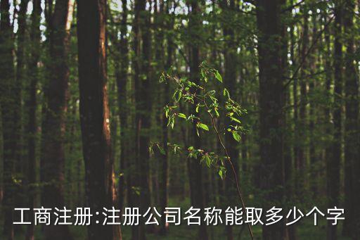 工商注册:注册公司名称能取多少个字