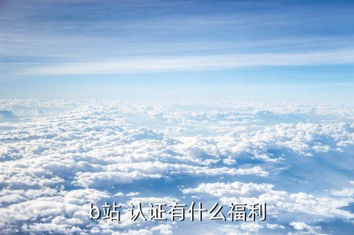b站企业认证账号,58企业认证账号20元一个