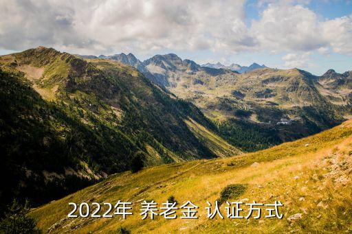 攀枝花企业养老金认证下载,养老金怎么认证?