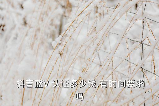  抖音蓝V 认证多少钱,有时间要求吗