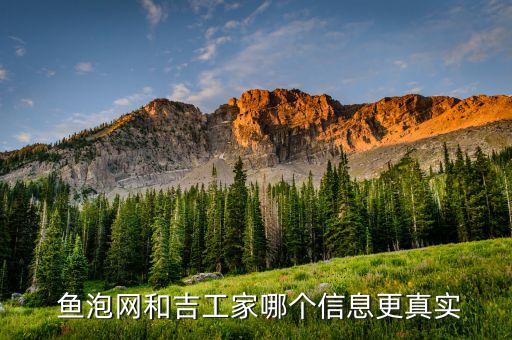  鱼泡网和吉工家哪个信息更真实