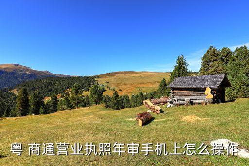 粤 商通营业执照年审手机上怎么操作