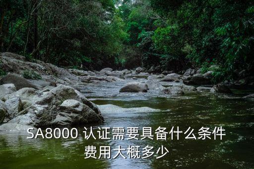 SA8000 认证需要具备什么条件费用大概多少