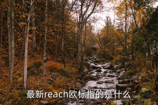 最新reach欧标指的是什么