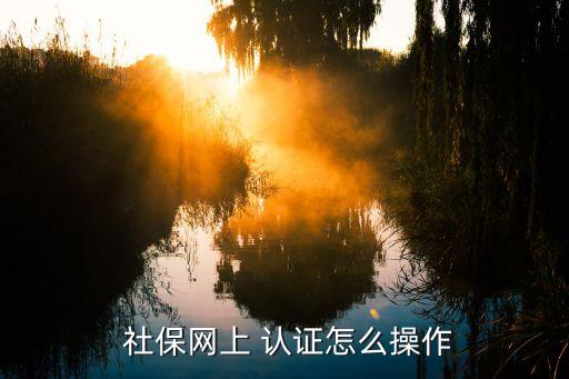  社保网上 认证怎么操作