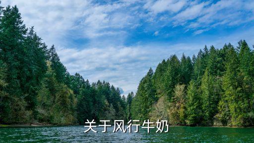 关于风行牛奶