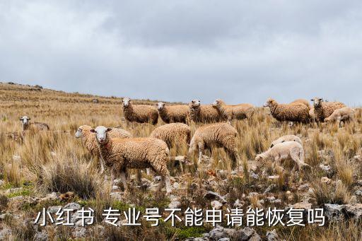 企业专业号认证不了,QQ号企业认证