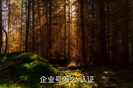  企业号怎么 认证