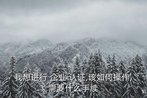 我想进行 企业 认证,该如何操作,需要什么手续
