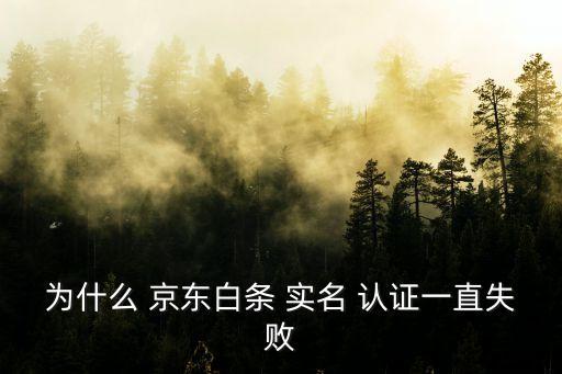 京东企业帐号实名认证不了,京东帐号实名认证怎么解绑